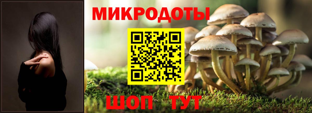 Канск  Псилоцибиновые грибы прущие грибы  Вход с VPN 
